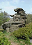 Dancing Bear at Nidderdale Way